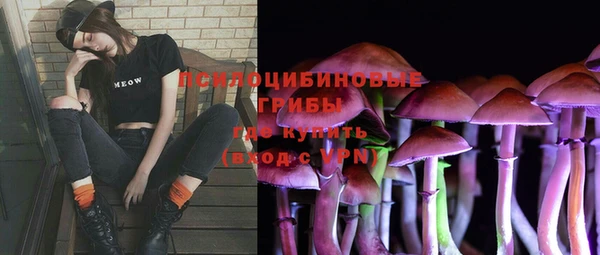 прущая мука Алексин