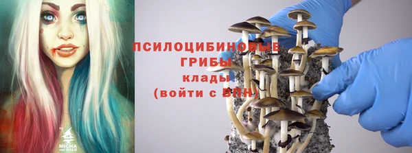 прущая мука Алзамай