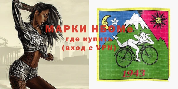 mix Инта