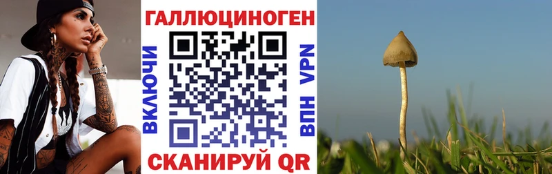 Галлюциногенные грибы ЛСД  Бокситогорск 