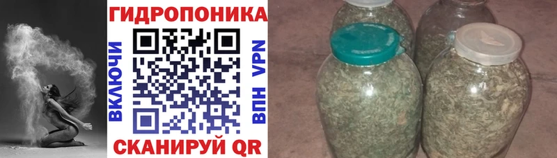 Бошки марихуана семена хочу Бокситогорск